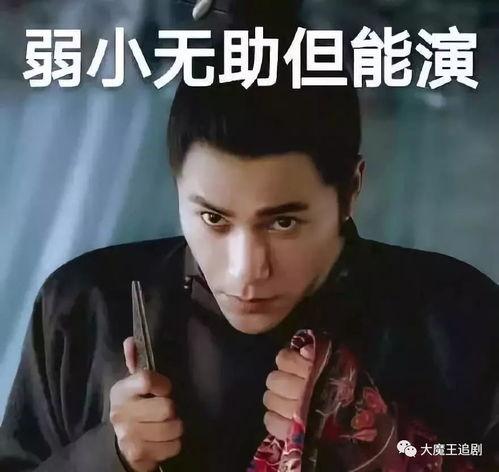 陈坤倪妮天涯真实爆料视频,娱乐圈背后的真相与争议  第1张